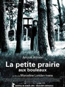 image la petite prairie aux bouleaux de mareline loridan-ivens